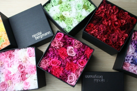 Boxed preserved flowers. Super stylish. Great for Valentine's and Christmas.