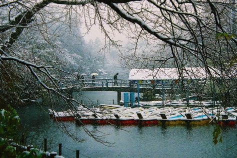 It is said that, if you ride the boats on Inokashira Park's pond with a girlfriend, you will surely break up soon.